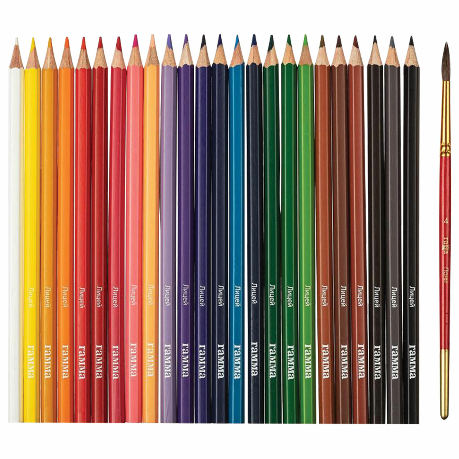 Карандаши акварельные ГАММА "Лицей", 24 цвета, заточенные, шестигранные, кисть, картонная упаковка
